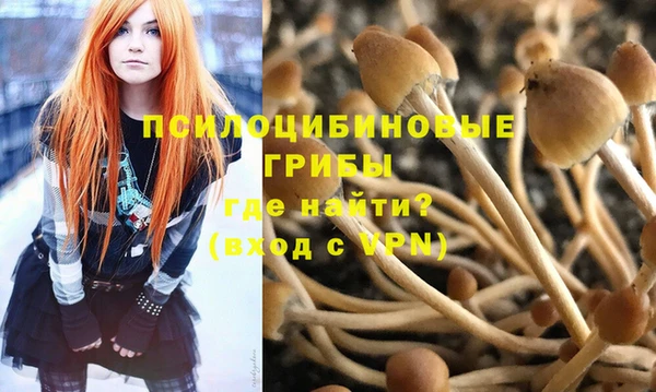 метадон Абаза