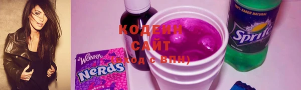 индика Алзамай